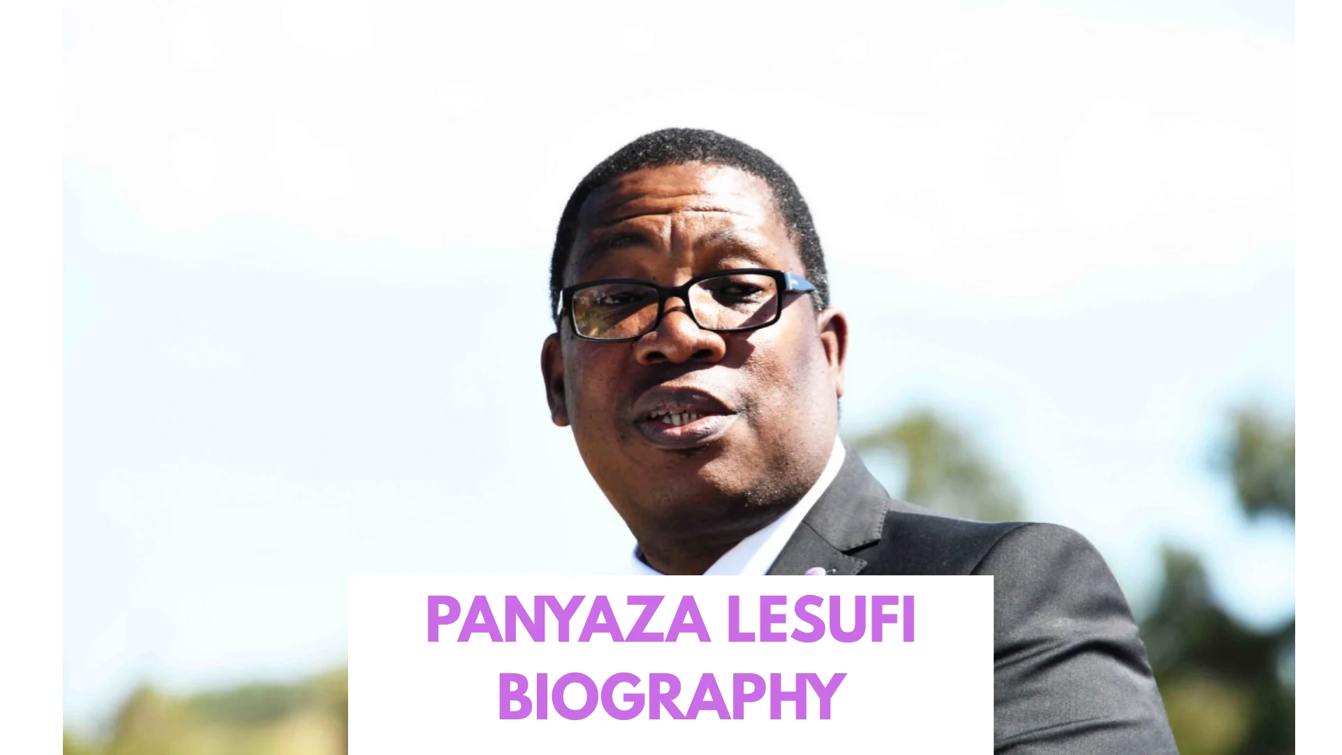 Panyaza Lesufi Biography
